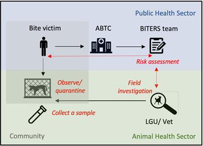 One Health Surveillance for Rabies: A Case Study of Integrated Bite Case Management in Albay Province, Philippines